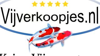 Hoofdafbeelding Vijverkoopjes.nl  Drachten