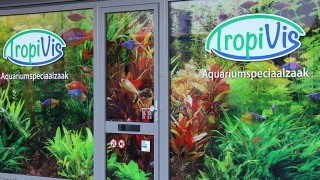 Hoofdafbeelding Aquariumspeciaalzaak Tropivis